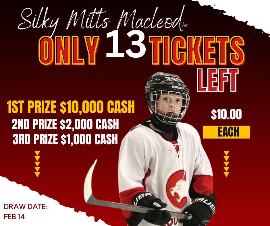 Ticket campaign for a local hockey initiative—and let’s just say, it hits the net. The goal? Create something clear, community-driven, and high-impact. Clean. Simple. Effective.